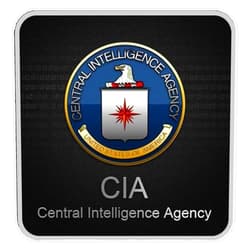 LAD Studio CIA Window Bumper Sticker Decal 5