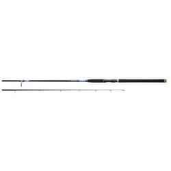 Daiwa BEEFSTICK SURF Rod Sections 2 Line Wt 40 100