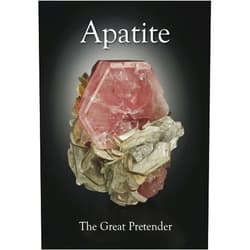 By Michael Bainbridge (Author), Phil Scalisi (Author), John Rakovan (Author, Editor), Alfredo Petrov (Author), Berthold Ottens (Author), Luiz Menezes (Author), Stefan Meier (Author), Peter K.M. Megaw (Author), Robert F. Martin (Author, Illustrator), Dmitriy Belakovskiy (Author), Dudley Blauwet (Author), Carles Curto Mila (Author), Donald A. Dallaire (Author, Editor), Jordi Fabre (Author, Illustrator), Jaroslav Hyrsl (Author), John M. Hughes (Author), Gloria A. Staebler (Editor), David W. Bunk (Editor), William W. Besse (Illustrator), Joe Budd (Illustrator), Jordi Deusedes (Illustrator), Josè Arce Diaz (Illustrator), Bob King (Illustrator), Don Komarechka (Illustrator), Jesse La Plante (Illustrator), Alana McConnon (Illustrator), John Schneider (Illustrator), Jeff Scovil (Illustrator), Brad Wilson (Illustrator) & 25 more Apatite: The Great Pretender