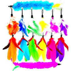 TIENAILING Cat Feather Toys Refills Cat Wand Replacement Feathers, 14 PCS Feathers Cat Toy Refills, Cat Toys Feathers for Cat Wand