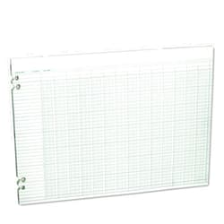 Wilson Jones Green Columnar Ruled Ledger Paper, Double Page Format, 24 Columns and 36 Lines per Page, 11 x 17 Inches, 100 Sheets per Pack (WG50-24A) (WLJG5024)