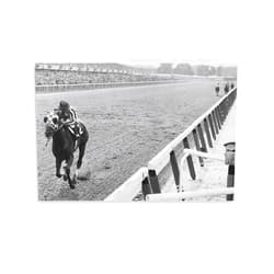 Generic Secretariat Wins Triple Crown At Belmont Posters Wall Art Poster Scroll Canvas Painting Picture Living Room Decor Home Framed/Unframed 08x12inch(20x30cm)