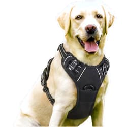 rabbitgoo Dog Harness, No-Pull Pet Harness with 2 Leash Clips, Adjustable Soft Padded Dog Vest, Reflective No-Choke Pet Oxford Vest with Easy Control Handle for Large Dogs, Black, L