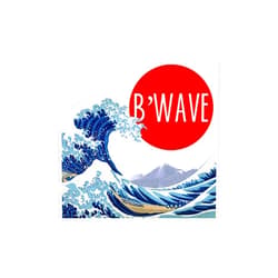 MJM B'Wave Deluxe by Max Maven (Gimmicks and Online Instructions) - Trick