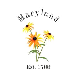 Kelli McLaughlin Maryland State Flower, Black-Eyed Susan, (Rudbeckia hirta) Journal, Notebook Gift for Nature Lovers, Women, Teens, Young Adults: 120 white lined pages, 6