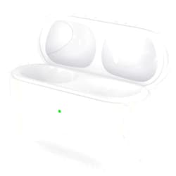 Owenbo Replacement Case for Airpods Pro 1st Gen Charging Case,Type C Charging Port, Wireless Charger Replacement Case for Airpod Pro 1st and 2nd Generation, No Earbuds Included