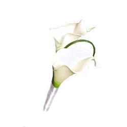Angel Isabella Boutonniere - Natural White Calla Lily with White Ribbon