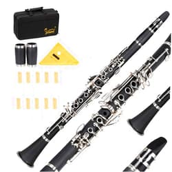 Ktaxon Bb Flat Clarinet Mid-range Bakelite Beginner & Student Clarinet, Nickel-Plated 17 Keys B Tone Clarinets with Hard Case, 10 Reeds, Gloves, 2 Mouthpieces Connector (Black)