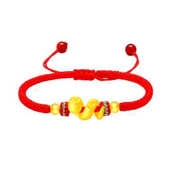Fgbetcv 2025 New Year of Snake Braided Rope Bracelet Adjustable Chinese Zodiac Animal Snake Lucky Charm Bracelet,Chinese Zodiac Animal Braided Gift Jewelry For Men Women