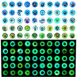 PH PandaHall 100PCS Animal Eye Glass Cabochons, 12mm Luminous Animal Eyes Tiles Round Dome Glass Cabochons Flatback Glow in The Dark Eyes for Art Props Photo Cameo Pendant Jewelry Making