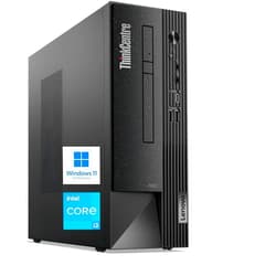 Lenovo ThinkCentre Neo 50s SFF Business Desktop, Intel Core i3-12100 Processor, 16GB RAM, 256GB SSD + 1TB HDD, Display Port + HDMI + VGA, WiFi + Bluetooth, DVD-RW, SD Card Reader, Windows 11 Pro