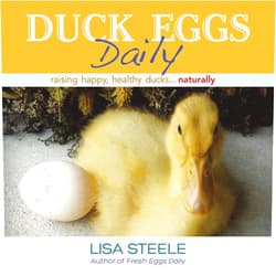 By Lisa Steele (Author) Duck Eggs Daily: Raising Happy, Healthy Ducks...Naturally