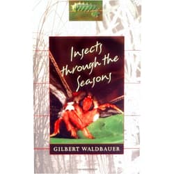 Gilbert Waldbauer Insects through the Seasons