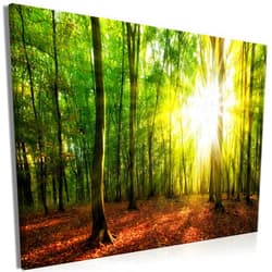 artgeist Canvas Wall Art Print Forest 35x24 in - 1pcs Home Decor Framed Stretched Picture Photo Painting Artwork Image Landscape Trees Nature c-B-0663-b-a