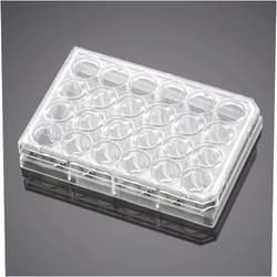 Discovery Labware Incorporated CORNBIO - Corning BioCoat Fibrillar Collagen 24 Mwell Inse rt System w/ 1.0 µm PET Membrane, EA1