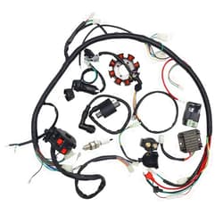 Bravedog Complete Wiring Harness kit Wire Loom Electrics Stator Coil CDI for ATV Quad 4 Four Wheelers 150CC 200CC 250CC Go Kart Dirt Pit Bikes