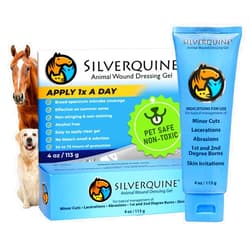 Silverquine Pet Cut & Itch Care - Hot Spot Gel for Dogs, Cats, Horses - Hydrogel - Skin & Coat Care - Anti-Itching for Cats - for Cuts, Burns, Skin Irritation - Pet Recovery – 4OZ