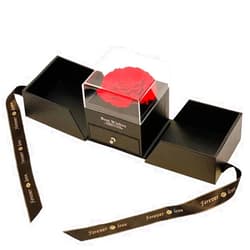 Ruibeila Rose Gift Box for her Friends, Women, Wife Girlfriend, Immortal Flower Eternal Love-White Box Red Rose, Wedding-Birthday Valentines Mothers Day (Rose Goft Box)