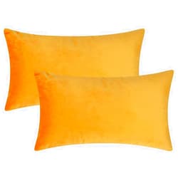 Artcest Set of 2 Cozy Velvet Decorative Rectangular Throw Pillow Cases, Soft Solid Lumbar Cushion Covers for Sofa Couch and Bed, 12