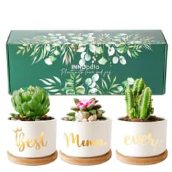 InnoBeta Mema Gifts Succulent Plant Pots 3pcs, Gifts for Mema, Best Mema Ever Planter Pot with Bamboo Tray, Plants NOT Included, Cute Ceramic Pots for Grandma for Mother's Day, Birthday, Christmas