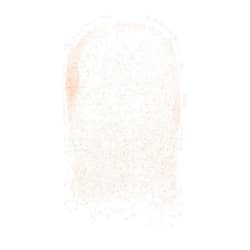 Jeffree Star Cosmetics The Gloss - Paid in Full