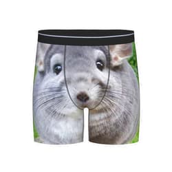 OTRAHCSD Men's Underwear, Chinchilla Camerons Men's Boxer Briefs, Soft Comfortable Underwear Boxer Shorts for Men 1 Pack