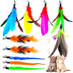 TIENAILING Cat Feather Toys Refills Cat Wand Replacement Feathers, 10 PCS Feather Cat Toy Refills, Cat Toy Wand Attachments Feathers for Cat Toys