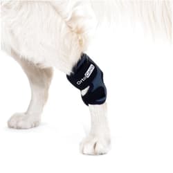 Ortocanis - Hock Support for Dogs with Osteoarthritis. Ligament Injuries or Tendon Inflammation of Joints. Size M