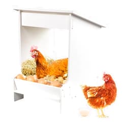 EARTHSON Nesting Boxes for Chickens, Chicken Coopwith Egg Storage, Chicken Laying Nest Box for Poultry Farm, Chicken Nesting Boxes for Duck and Poultry, White