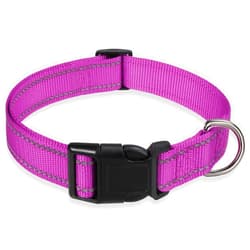 BOOMIBOO Reflective Dog Collar with Buckle Adjustable Safety Nylon Collars for Small Medium Large Dogs, Purple M