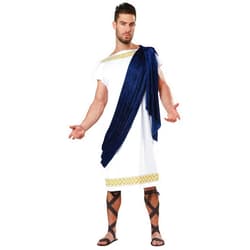 California Costumes Men's Grecian Toga