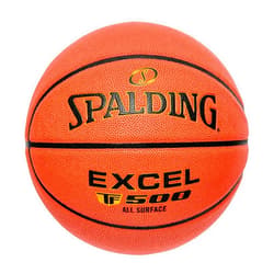 Spalding TF-500 Indoor-Outdoor Basketball