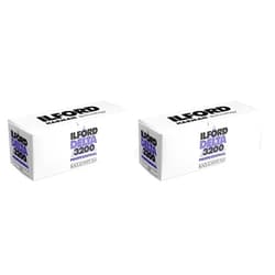 Ilford Delta 3200 Professional, Black and White Print Film, 120 (6 cm), ISO 3200 (1921535) (Pack of 2)