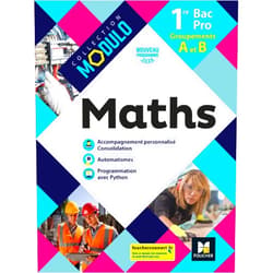 Denise Laurent,Isabelle Baudet,Ludivine Druel-Lefebvre,Laurent Breitbach,Hervé Gabillot,Marie Bouteiller,Sarah Bouyanzer,Luc Daverton Modulo - MATHEMATIQUES 1re Bac Pro Groupements A et B - Ed. 2020 - Livre élève
