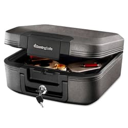 Unknown Sentry Safe 0.28 cu. ft. Capacity, Fire Safe, Gray CFW20201