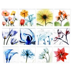 Empire Art Direct 12 PCS Flower Coasters for Drinks, Cup Coaster for Tabletop Protection, Coffee Table Coaster Set, Glass Floral Coasters Set with Cork Bottom by Albert Koetsier B3