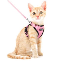 Dooradar Cat Harness and Leash Set, Escape Proof Safe Adjustable Kitten Vest Harnesses for Walking, Easy Control Soft Breathable Mesh Jacket with Reflective Strips for Cats, Pink, XS