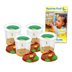 Insect Lore Funtastic 4 Cups of Caterpillars