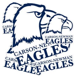 Desert Cactus Carson-Newman University Stickers Eagles Vinyl Decals Laptop Water Bottle Car Scrapbook 13.39x10.98 Sheet T3 (Type 3-1)