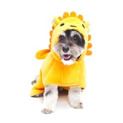 Barkbox BARK Dog Bathrobe - Fast Drying Bathrobe with Velcro Closure & Wrap Tie Snuggle, Cute Dog Clothes, Easy to Clean, Machine Washable, Dog Coats for Small Dogs, Tumble Dry Low | Lion, Small