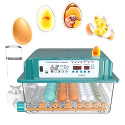 CHOiES record your inspired fashion Choies 36 Egg Incubator for Hatching Eggs with Automatic Egg Turning and Humidity Control,Automatic Water Adding,360° View Incubators for Chicken Eggs,Quail,Ducks, Goose, Pigeon,Parrot Eggs