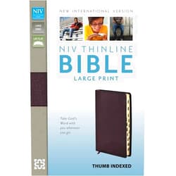 By Zondervan (Author) NIV, Thinline Bible, Large Print, Bonded Leather, Burgundy, Indexed, Red Letter Edition