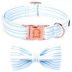 MR.CHUBBYFACE MR. CHUBBYFACE Macaron Striped Dog Collar with Bow Cute Blue Dog Collar Bowtie Spring Girl Boy Dog Collar for Small Medieum Large Dogs