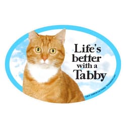 Prismatix Orange Cat (Tabby) Oval Pet Magnet for Cars - Life's Better with a Tabby - Great Gift for Cat Mom, Dad, or Lovers - Measures 6 x 4 inches