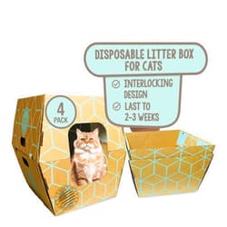 Cats Desire - 4 Trays, Disposable Litter Boxes for Cats - Litter Box, Fits Large Cats - Water Resistant Cat Litter Box - Made in USA, 19