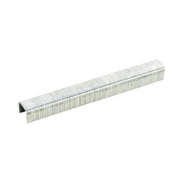 B&C Eagle STCR5019-38 3/8-Inch Length x 7/16-Inch Power Crown x 18 Gauge Galvanized Fine Wire hammer tackersStaples (5,000 per box)