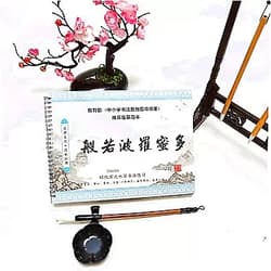 RUIMI Reusable Chinese Water Writing Cloth Paper, Magic Regular Script copybook, No Ink Chinese Calligraphy Writing Cloth, Practice Calligraphy Character Book with Brush and Dish, (banruoboluomi)