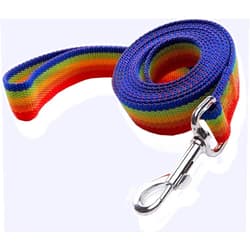 SALO Nylon Dog Leash 4 Ft 5 Feet 6 Foot Long, Walking Training Dog Leashes for Medium Large Dogs, 1 Inch Wide (1