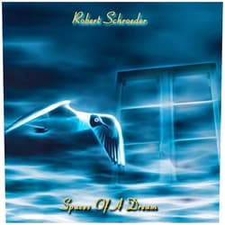 Robert Schroeder (Artist) Format: Audio CD Spaces Of A Dream