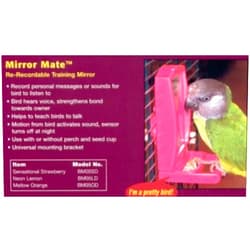 OurPet's Our Pets Mirror Mate Orange